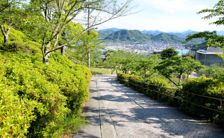 千光寺山ロープウェイ山頂駅からMiTeMiへ向かう道